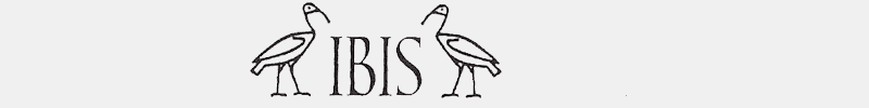 Autorengruppe Ibis